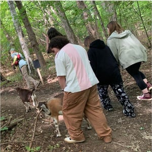 A group of diverse Rock Point School students walk up a dirt path led by a leader as they walk through the woods for their daily exercise, accompanied by the local goats.