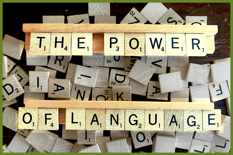 language and power        
        <figure class=