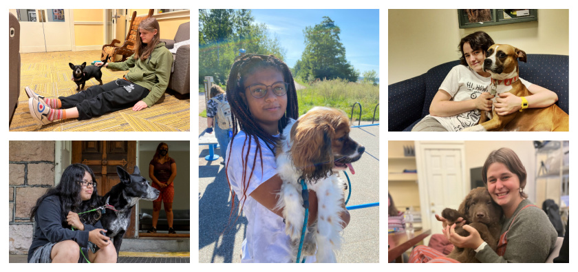 Collage of RPS students with school dogs